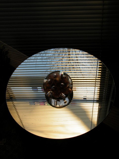 455x614 pixels (75K)