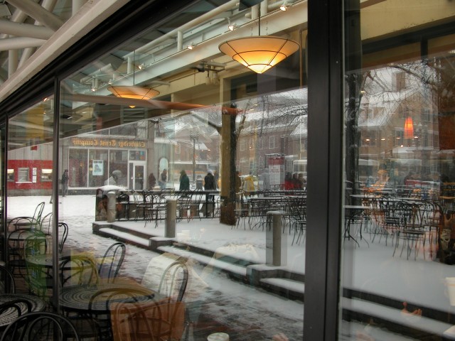 615x454 pixels (126K)