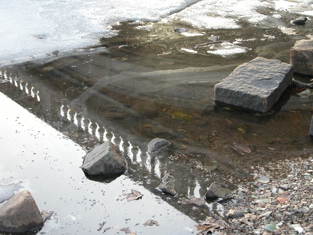 615x454 pixels (144K)