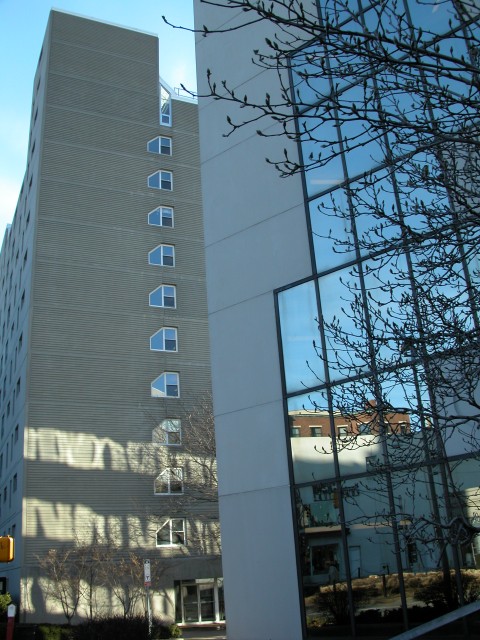 455x614 pixels (131K)