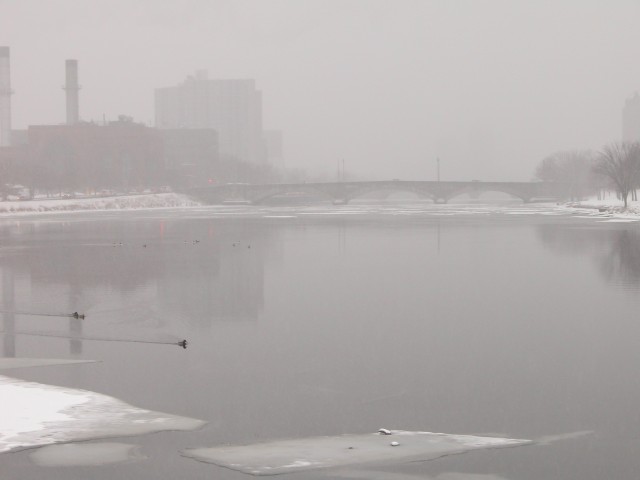 615x454 pixels (59K)