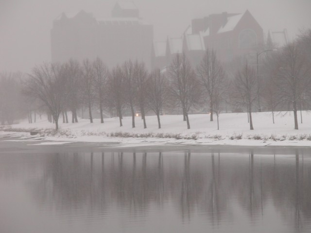 615x454 pixels (71K)