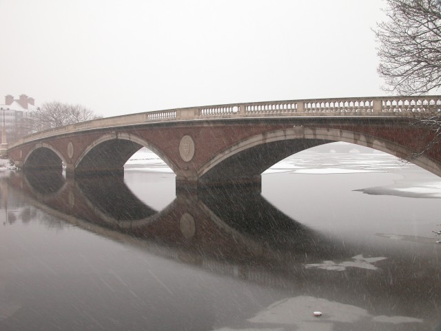 615x454 pixels (89K)