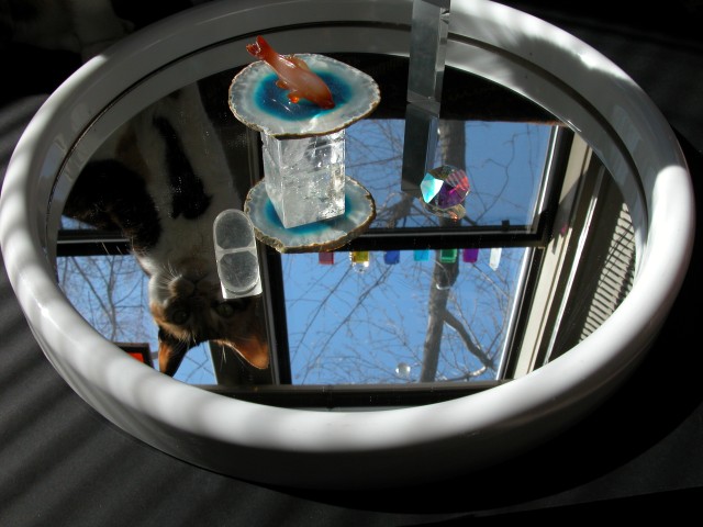 615x454 pixels (101K)