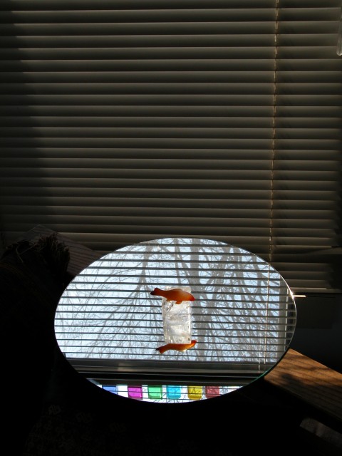 455x614 pixels (82K)