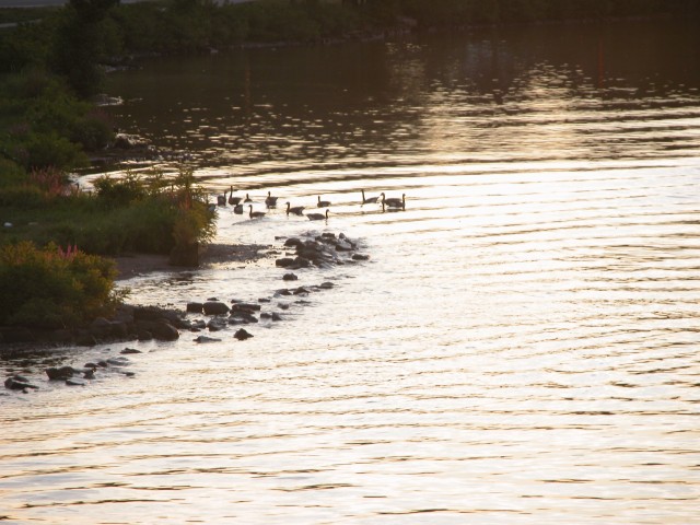 615x454 pixels (121K)