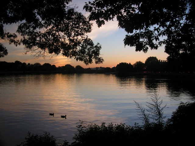 615x454 pixels (129K)