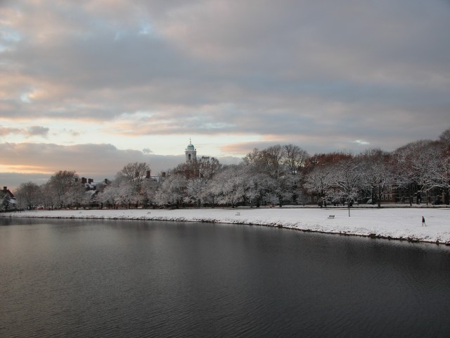 615x454 pixels (88K)