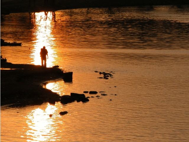 615x454 pixels (107K)