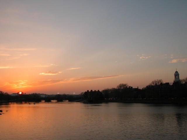 615x454 pixels (69K)