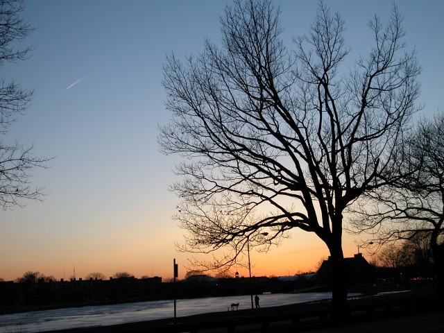 615x454 pixels (130K)